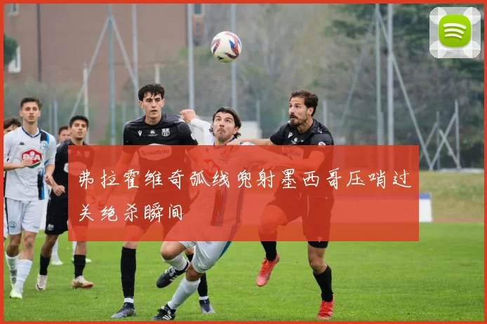 弗拉霍维奇弧线兜射墨西哥压哨过关绝杀瞬间