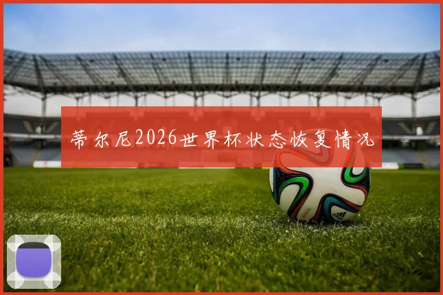 蒂尔尼2026世界杯状态恢复情况