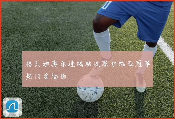 格瓦迪奥尔连线助攻塞尔维亚冠军热门名场面