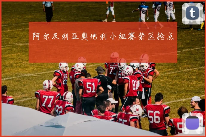 阿尔及利亚奥地利小组赛禁区抢点